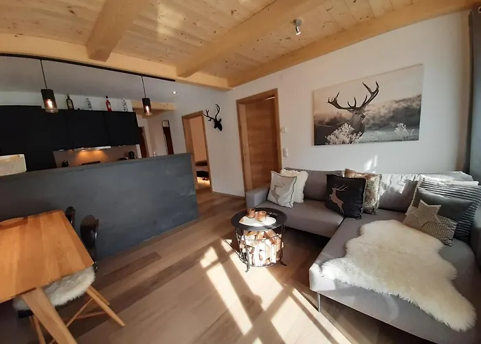 Hochalmbahnen Chalets Tanne, nahe Skilift, mit Wallbox und Hunde willkommen, 10W1 * Rauris