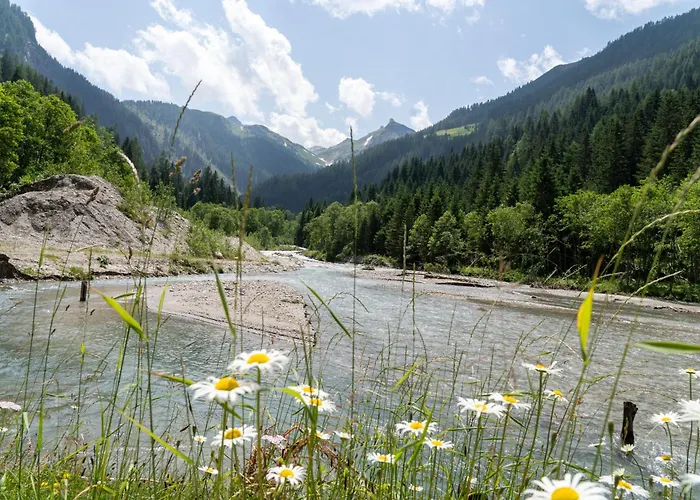 Hochalmbahnen Chalets Tanne, nahe Skilift, mit Wallbox und Hunde willkommen, 10W1