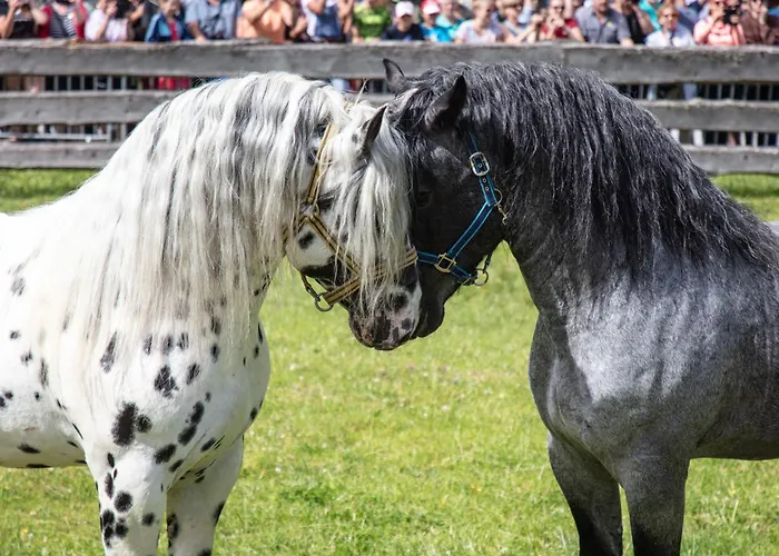 Hochalmbahnen Chalets Tanne, nahe Skilift, mit Wallbox und Hunde willkommen, 10W1 Apartment Rauris