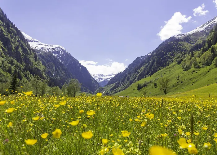 شقة Hochalmbahnen Chalets 10W1, Tanne, Nahe Gondel, Mit Wallbox Und Hunde Willkommen راوريس